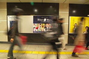 Blue Roses poster03